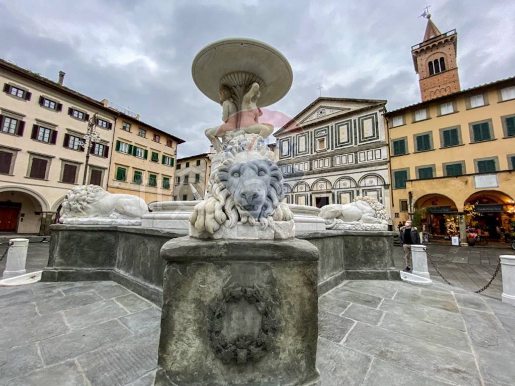immagine annuncio 11 di 12