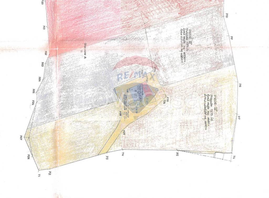 immagine annuncio 5 di 14