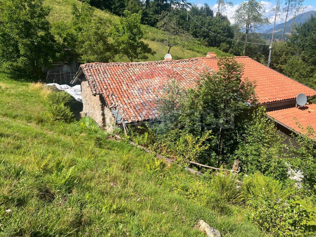 immagine annuncio 10 di 14