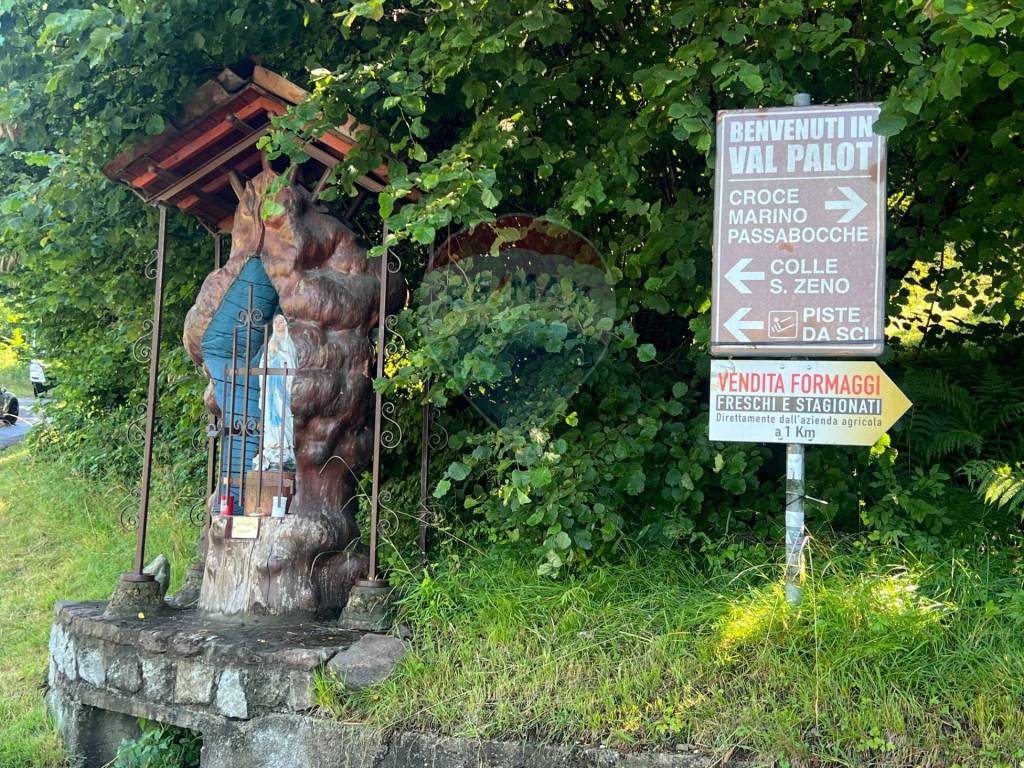 immagine annuncio 11 di 14