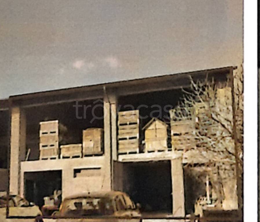 immagine annuncio 6 di 9