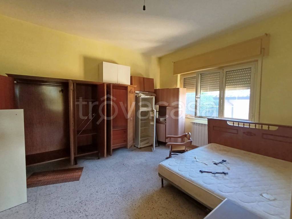 immagine annuncio 7 di 14