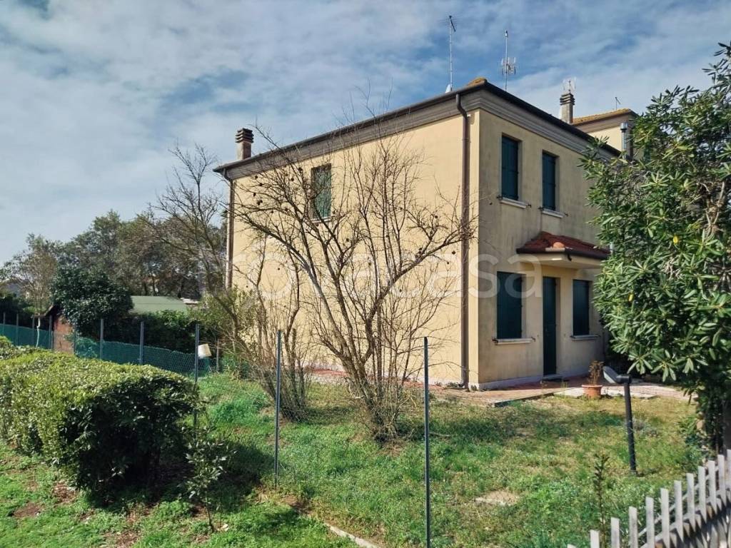 immagine annuncio 1 di 14
