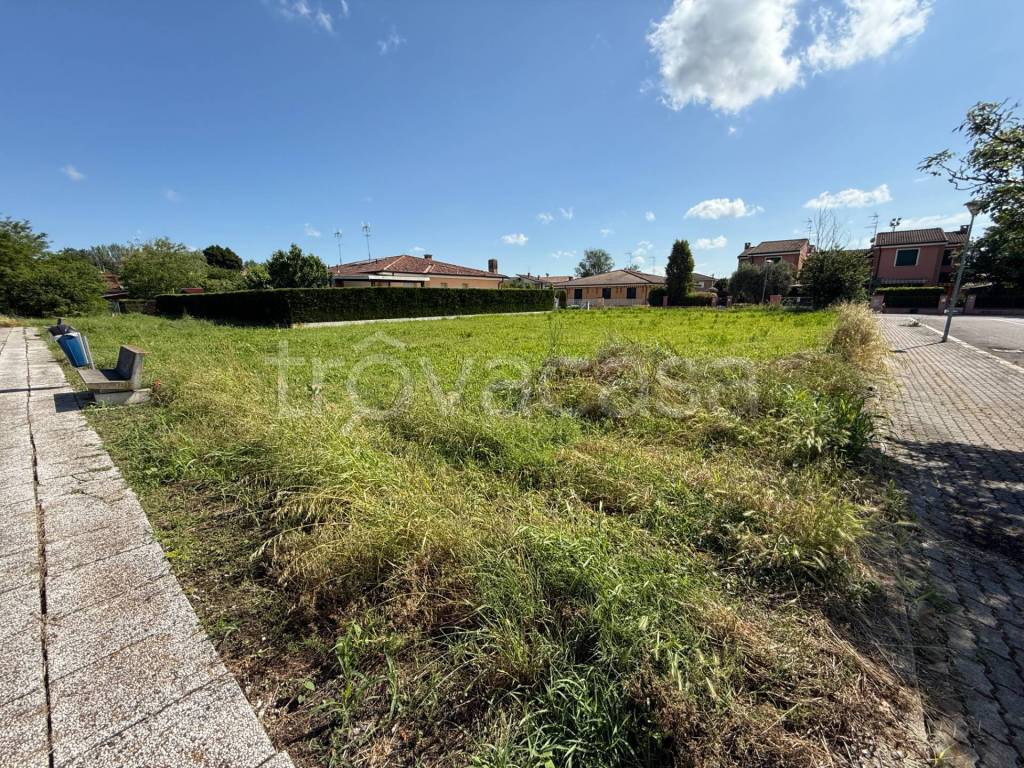 immagine annuncio 3 di 13