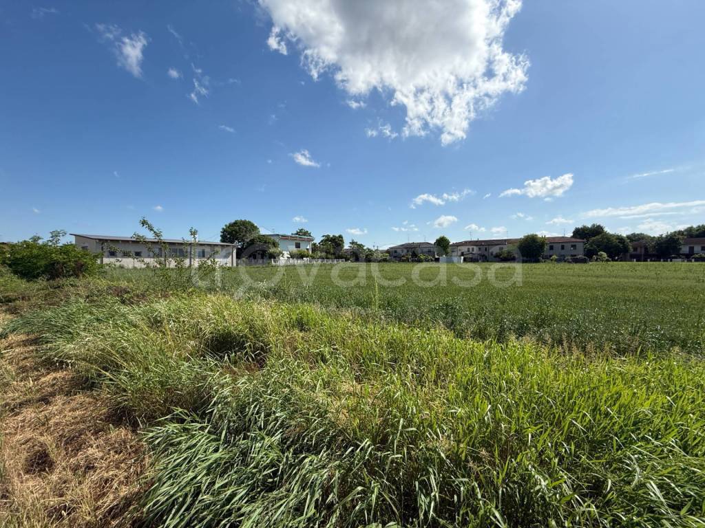 immagine annuncio 9 di 13