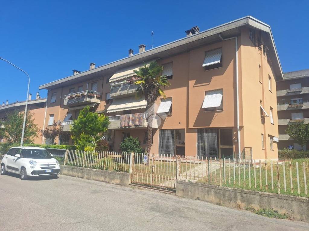 immagine annuncio 4 di 6