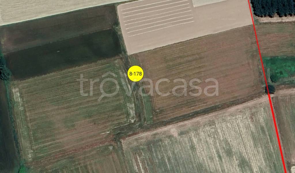 immagine annuncio 7 di 11