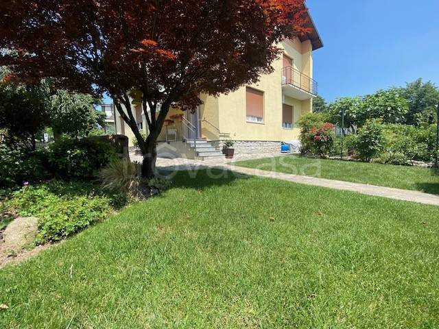immagine annuncio 2 di 6