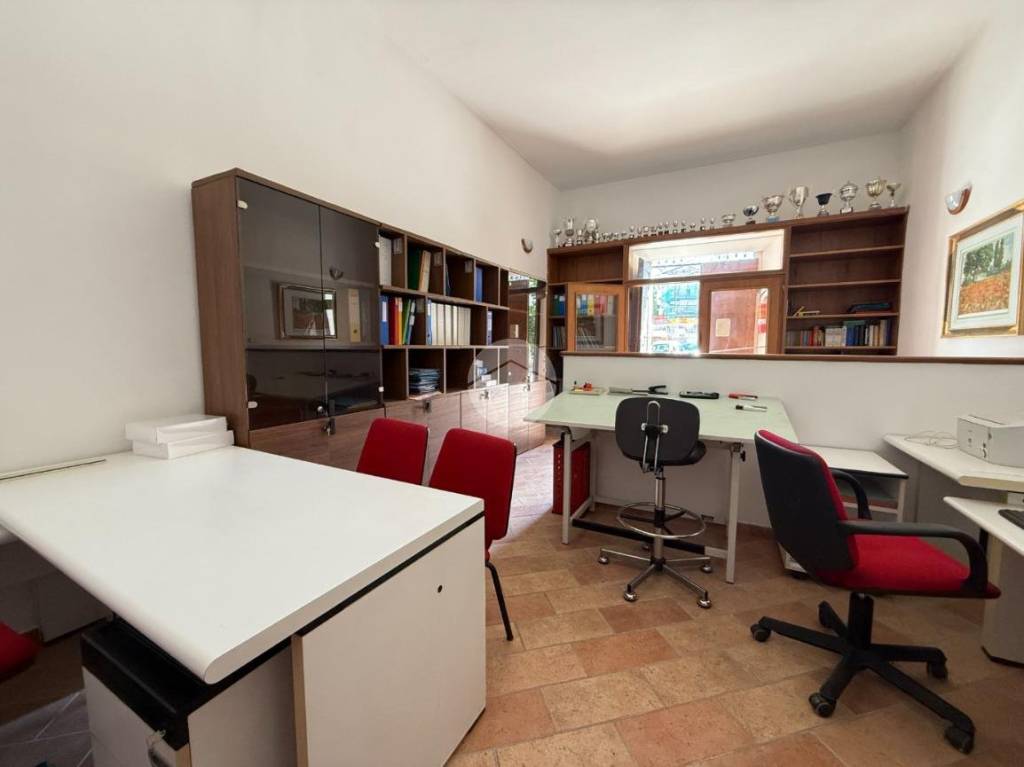 immagine annuncio 3 di 14