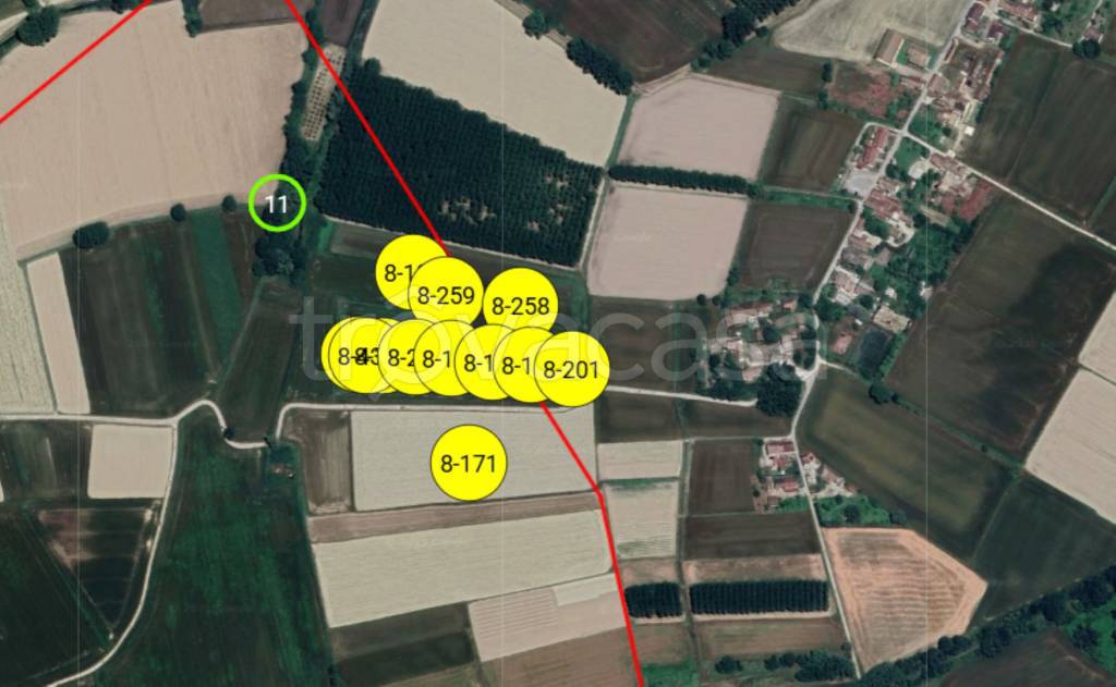 immagine annuncio 7 di 11