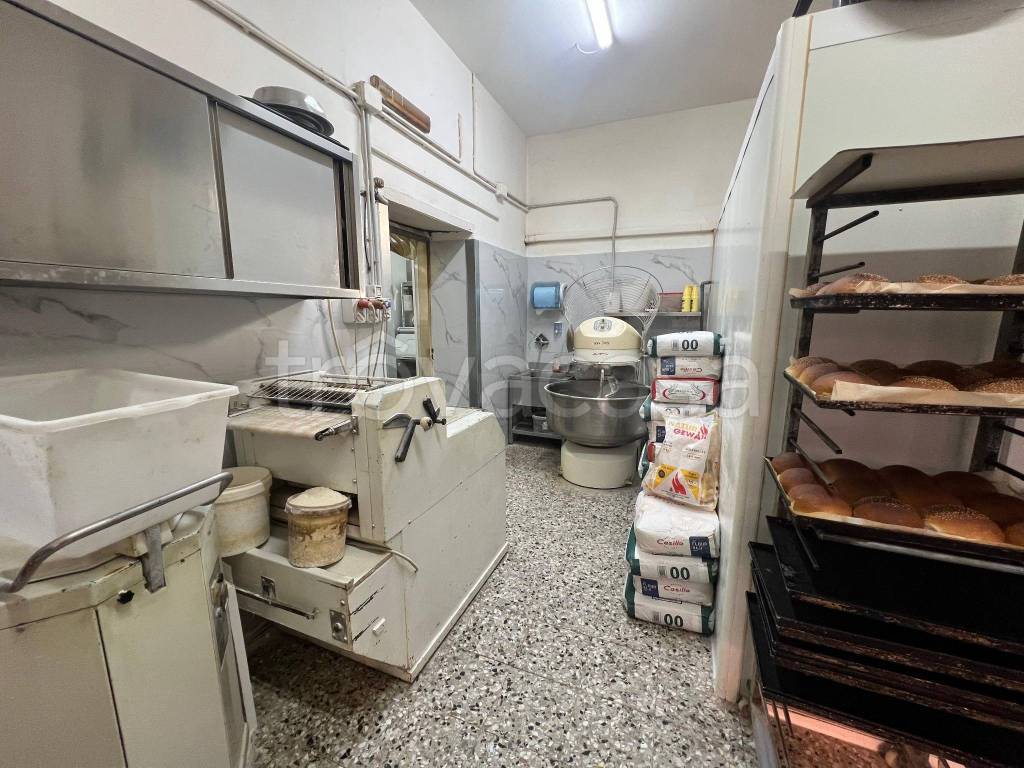 immagine annuncio 3 di 6