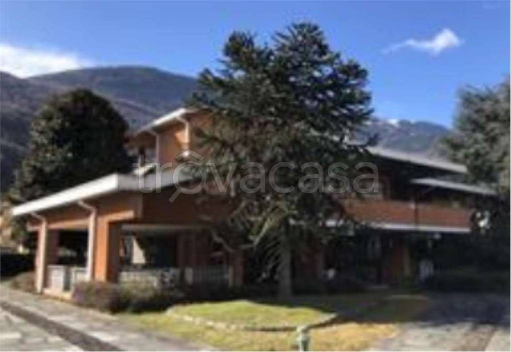 immagine annuncio 3 di 12