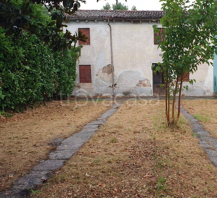 immagine annuncio 4 di 7