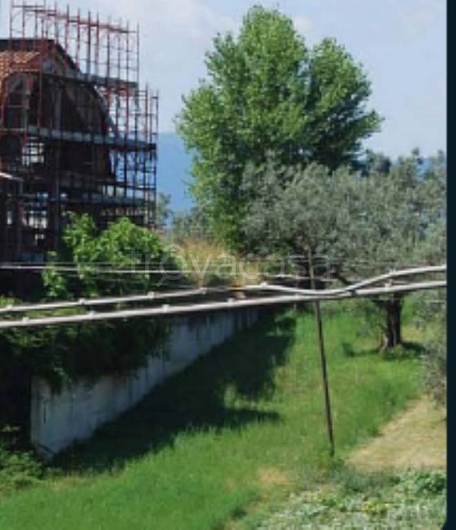 immagine annuncio 2 di 11
