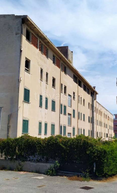 immagine annuncio 7 di 12