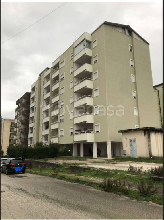 immagine annuncio 2 di 12