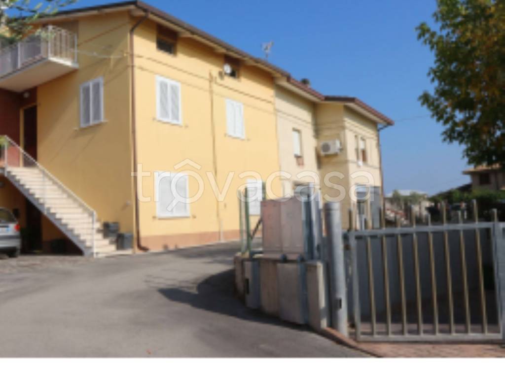 immagine annuncio 7 di 11