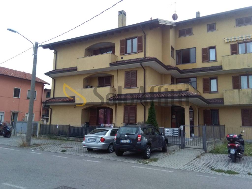 immagine annuncio 6 di 14
