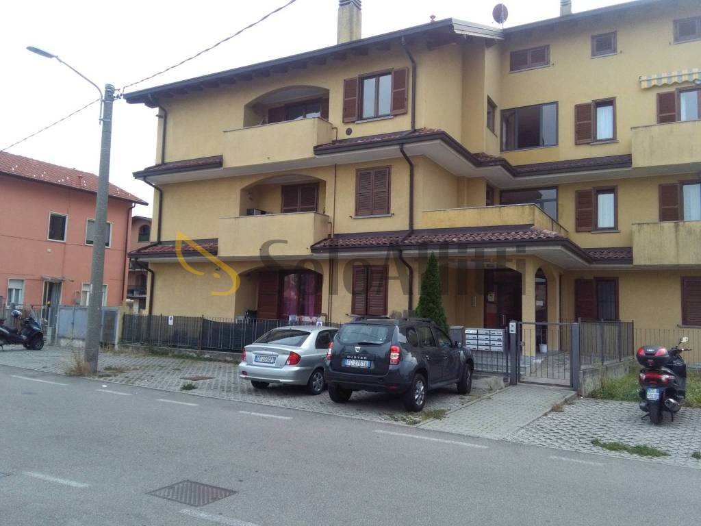 immagine annuncio 7 di 14