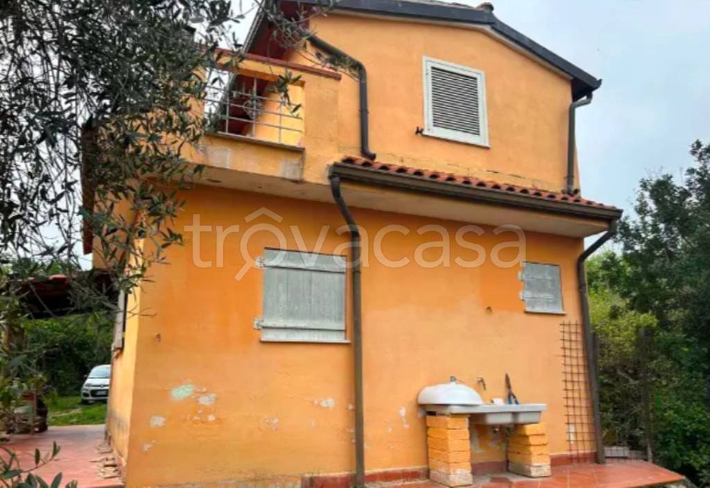 immagine annuncio 2 di 11