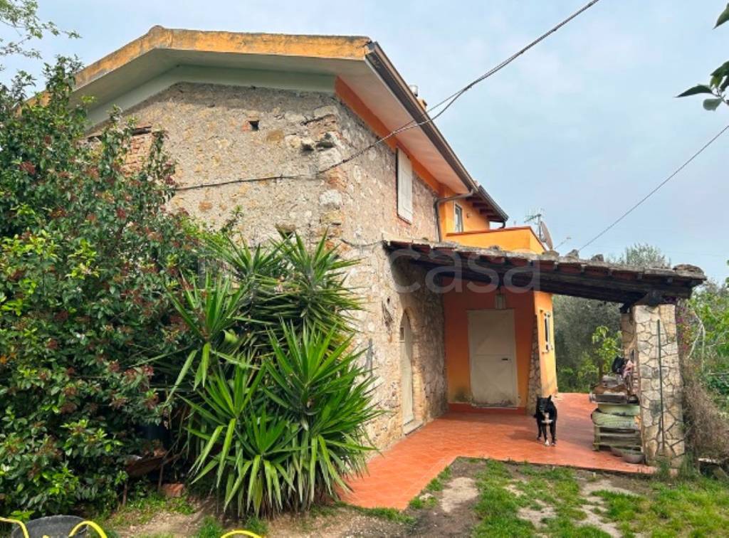 immagine annuncio 9 di 11