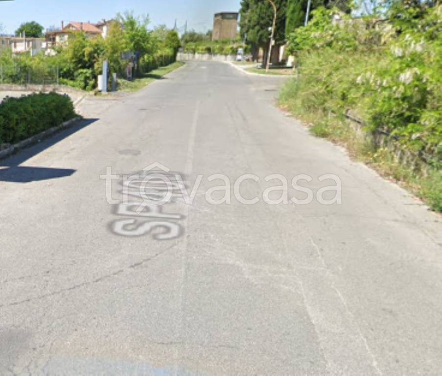 immagine annuncio 4 di 12