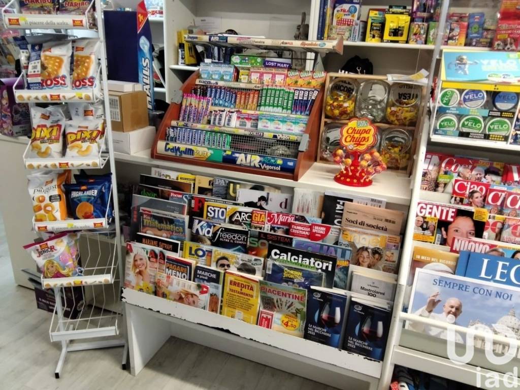 immagine annuncio 6 di 15