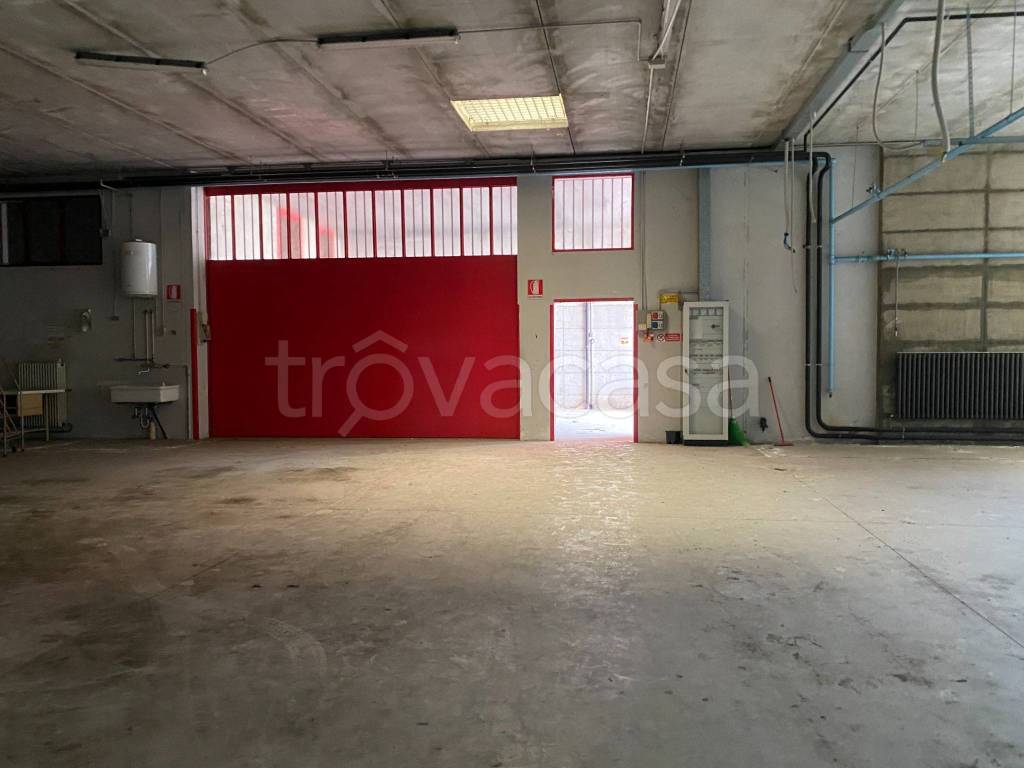 immagine annuncio 1 di 11