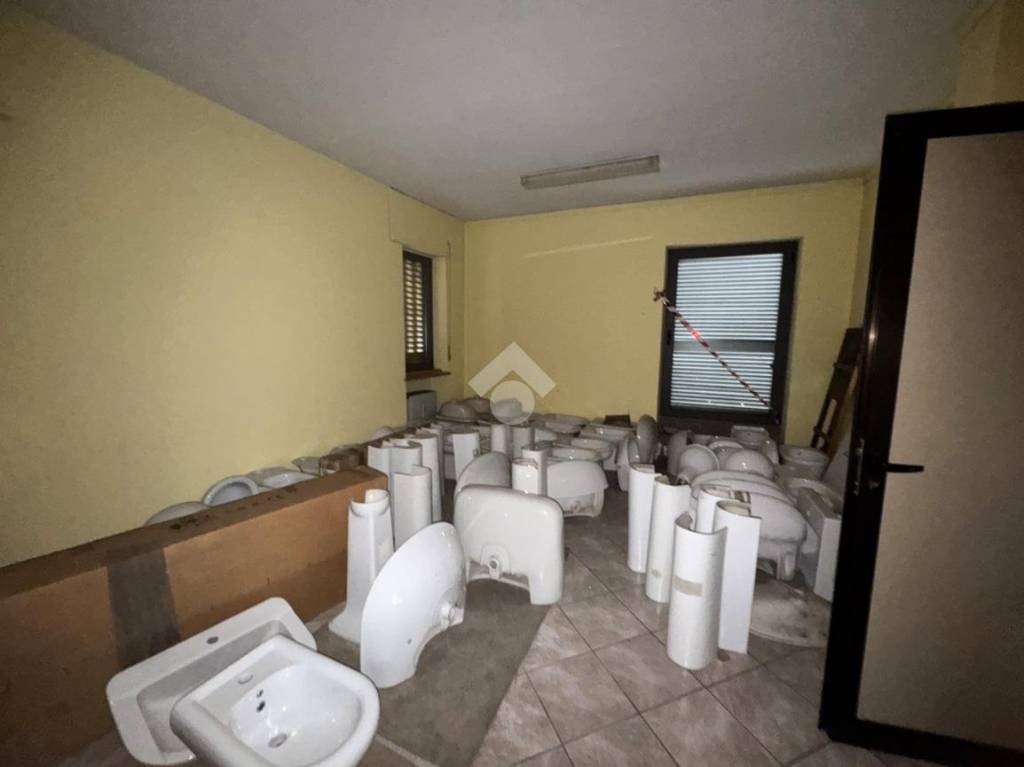 immagine annuncio 11 di 14