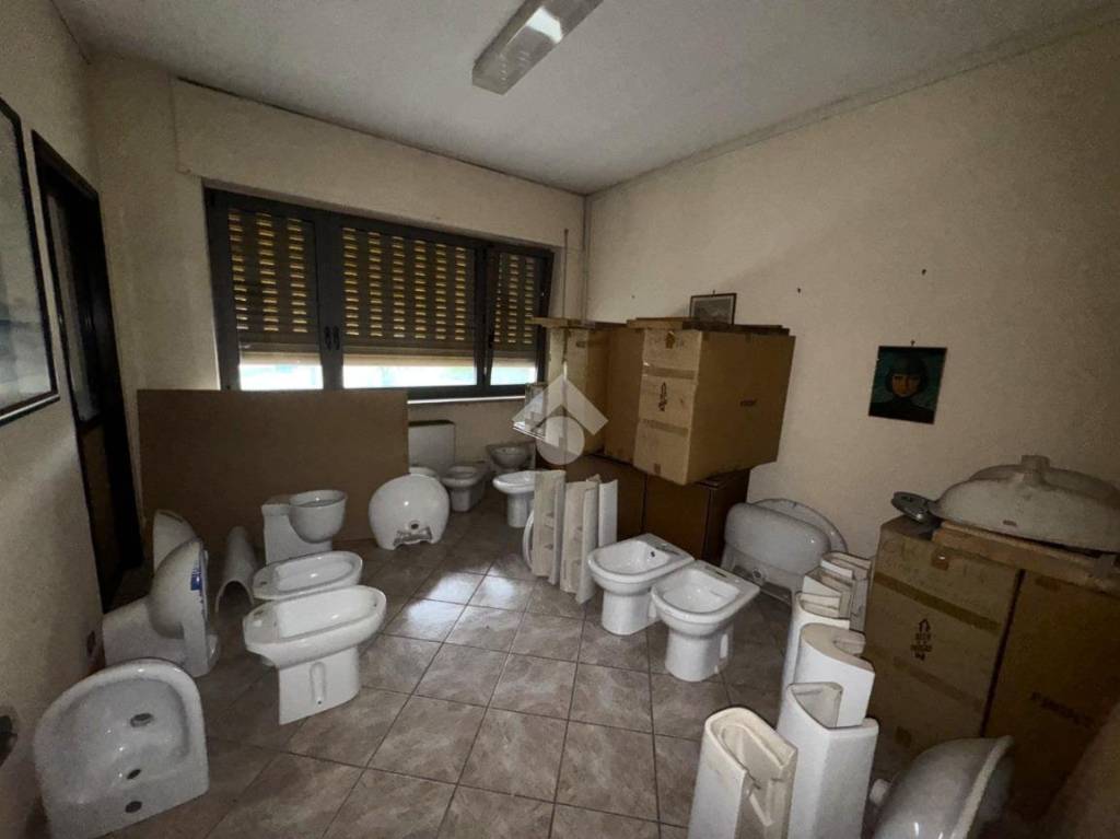 immagine annuncio 12 di 14