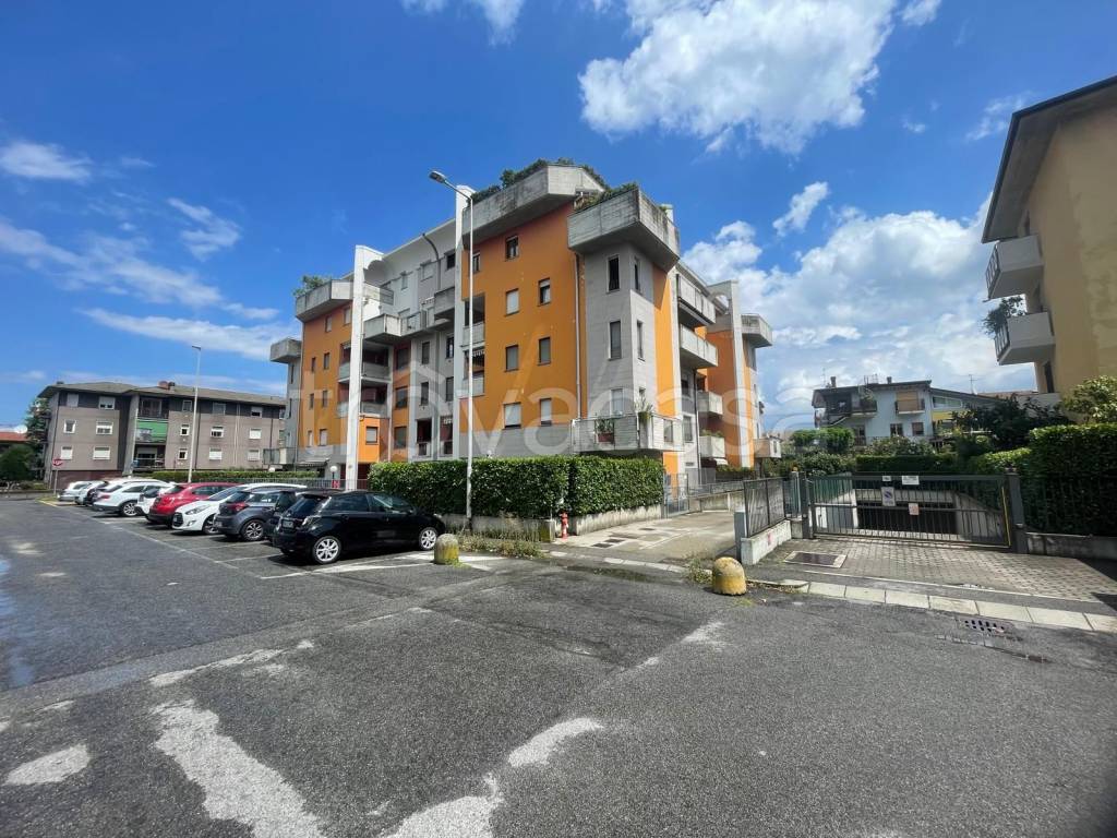 immagine annuncio 2 di 14