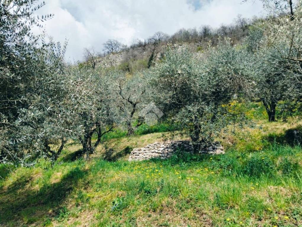 immagine annuncio 4 di 14