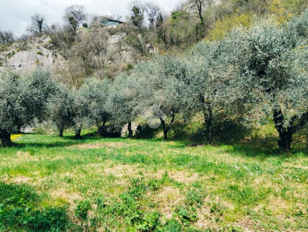immagine annuncio 7 di 14