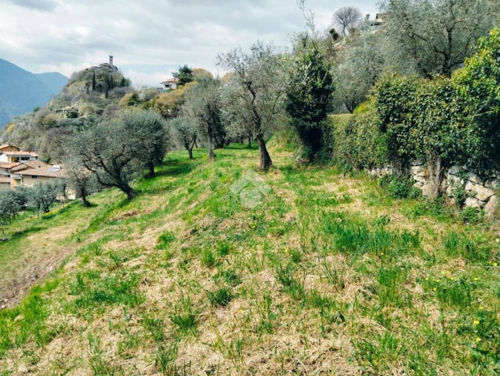immagine annuncio 8 di 14