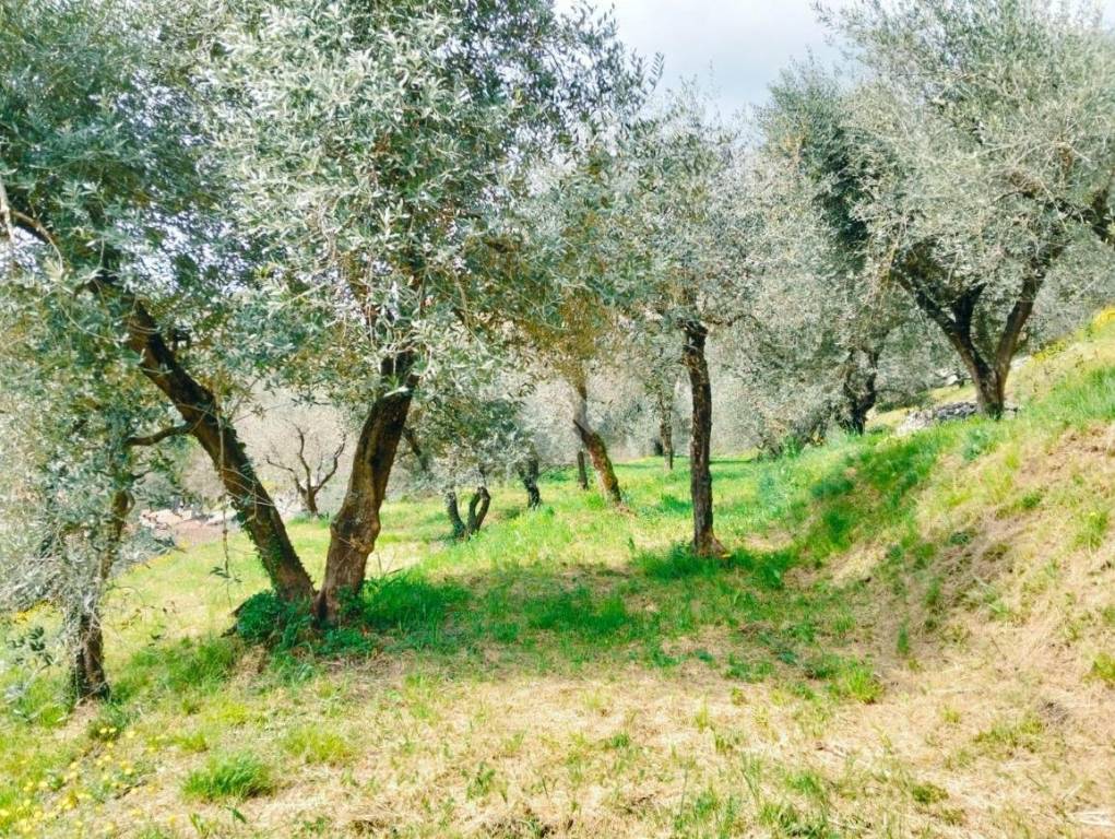 immagine annuncio 10 di 14