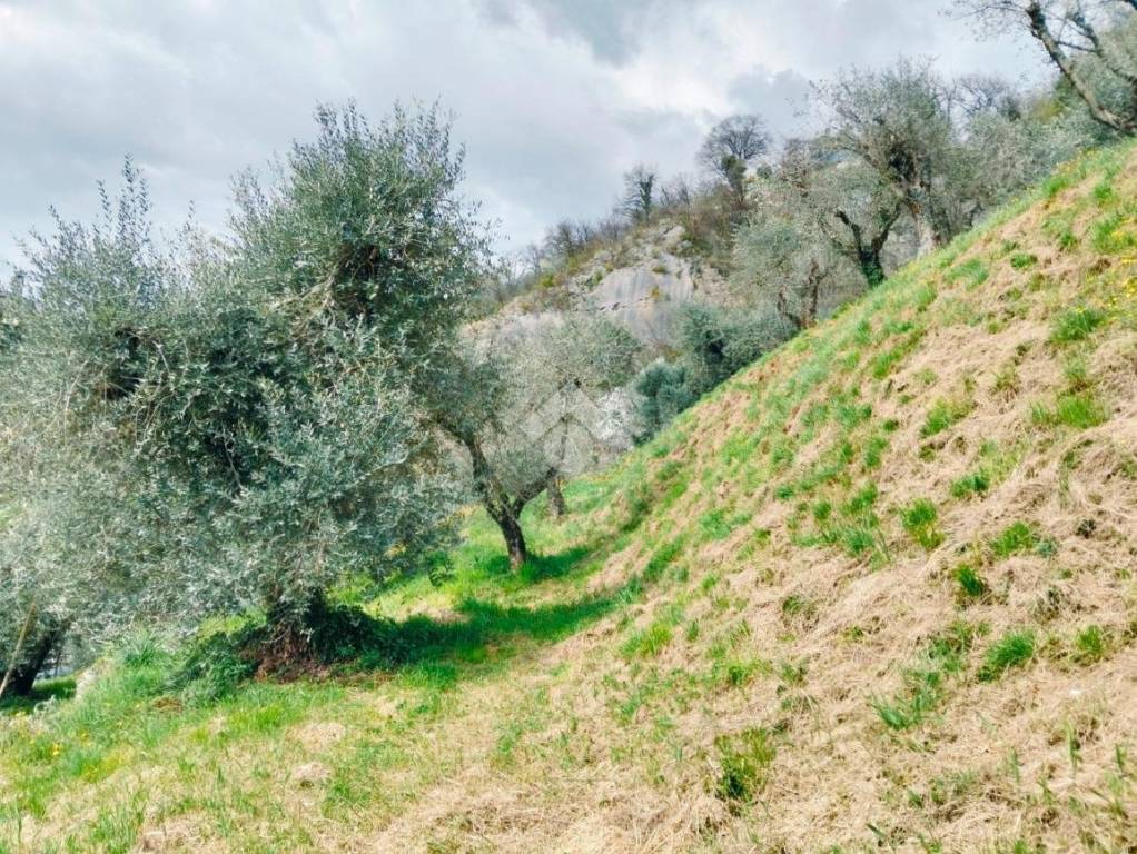 immagine annuncio 11 di 14