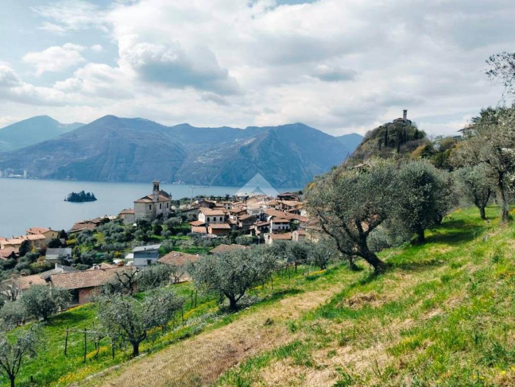 immagine annuncio 12 di 14
