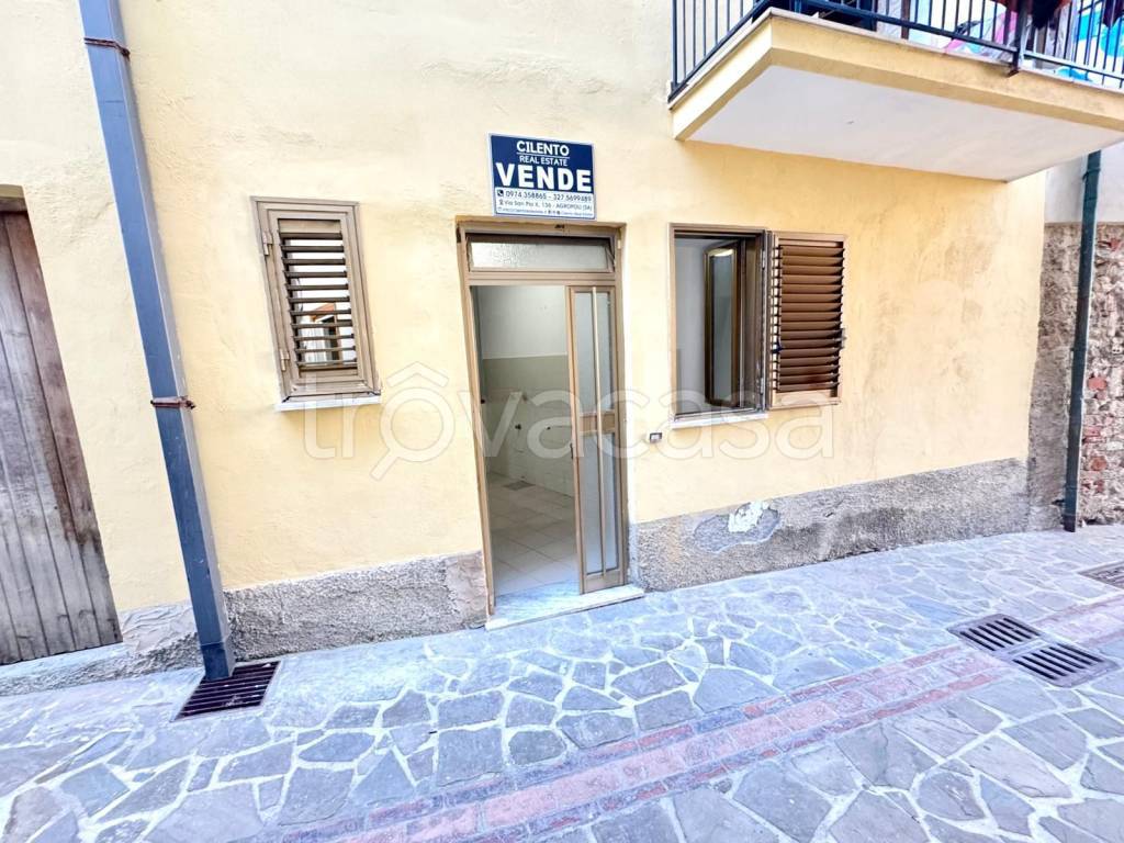 immagine annuncio 2 di 14