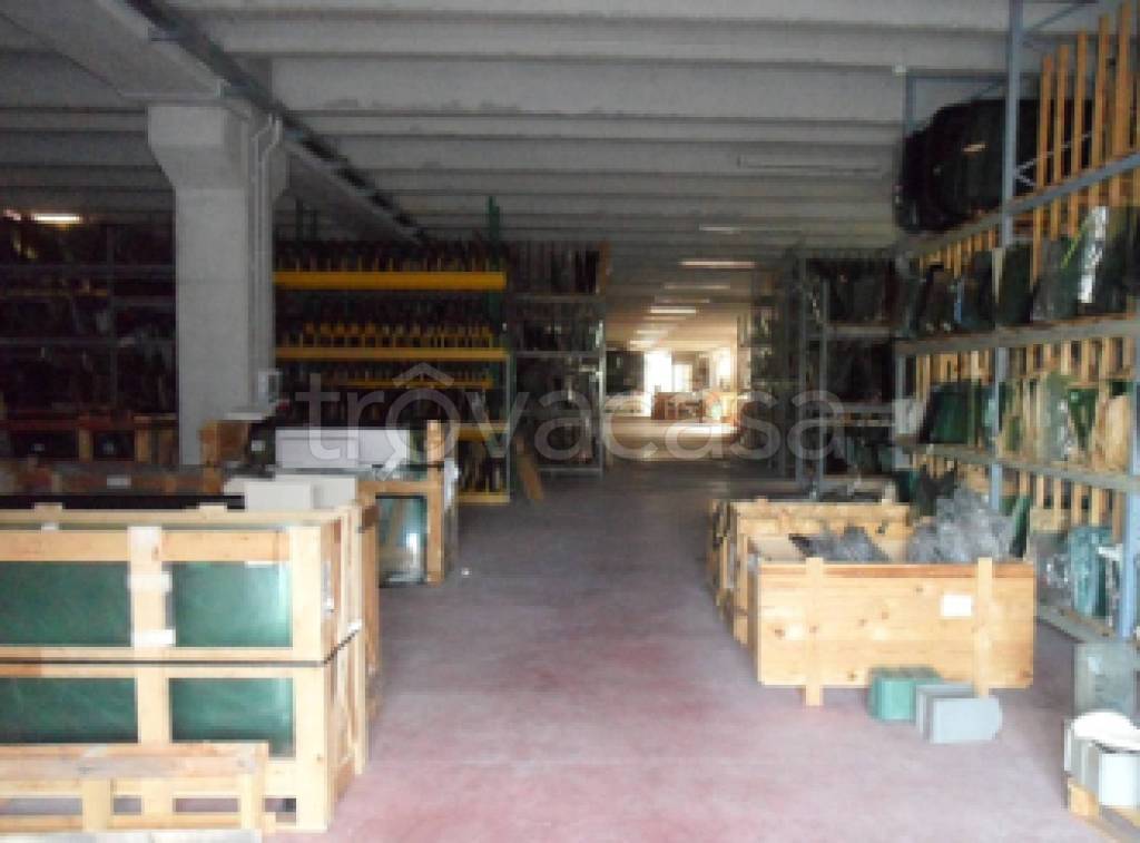 immagine annuncio 4 di 11