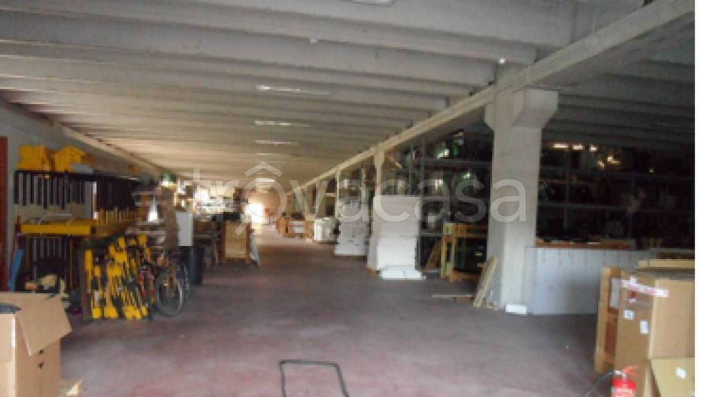 immagine annuncio 5 di 11