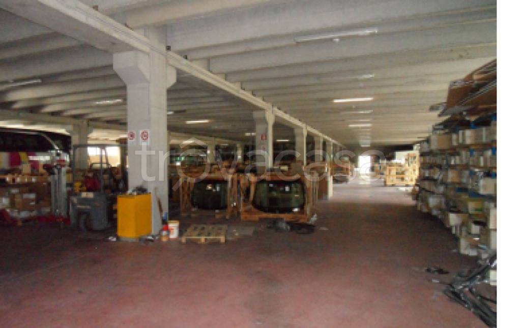 immagine annuncio 6 di 11