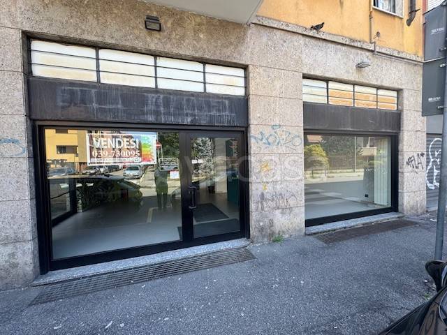 immagine annuncio 2 di 12