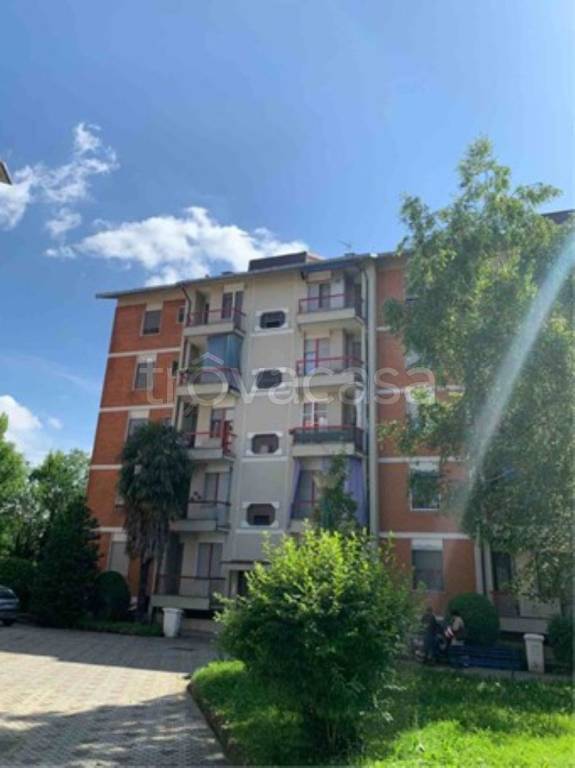 immagine annuncio 3 di 10