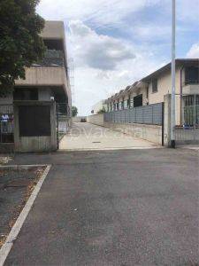 immagine annuncio 1 di 14