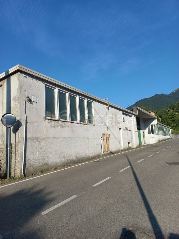 immagine annuncio 1 di 3