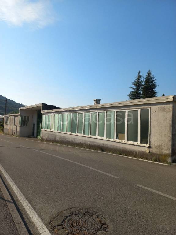 immagine annuncio 2 di 3