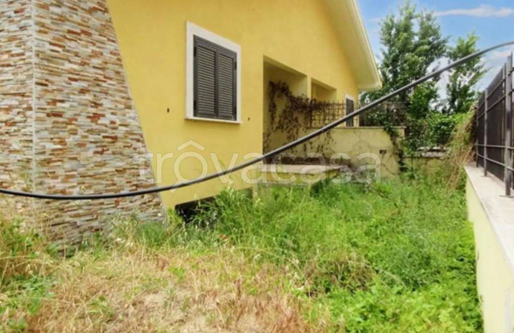 immagine annuncio 7 di 11