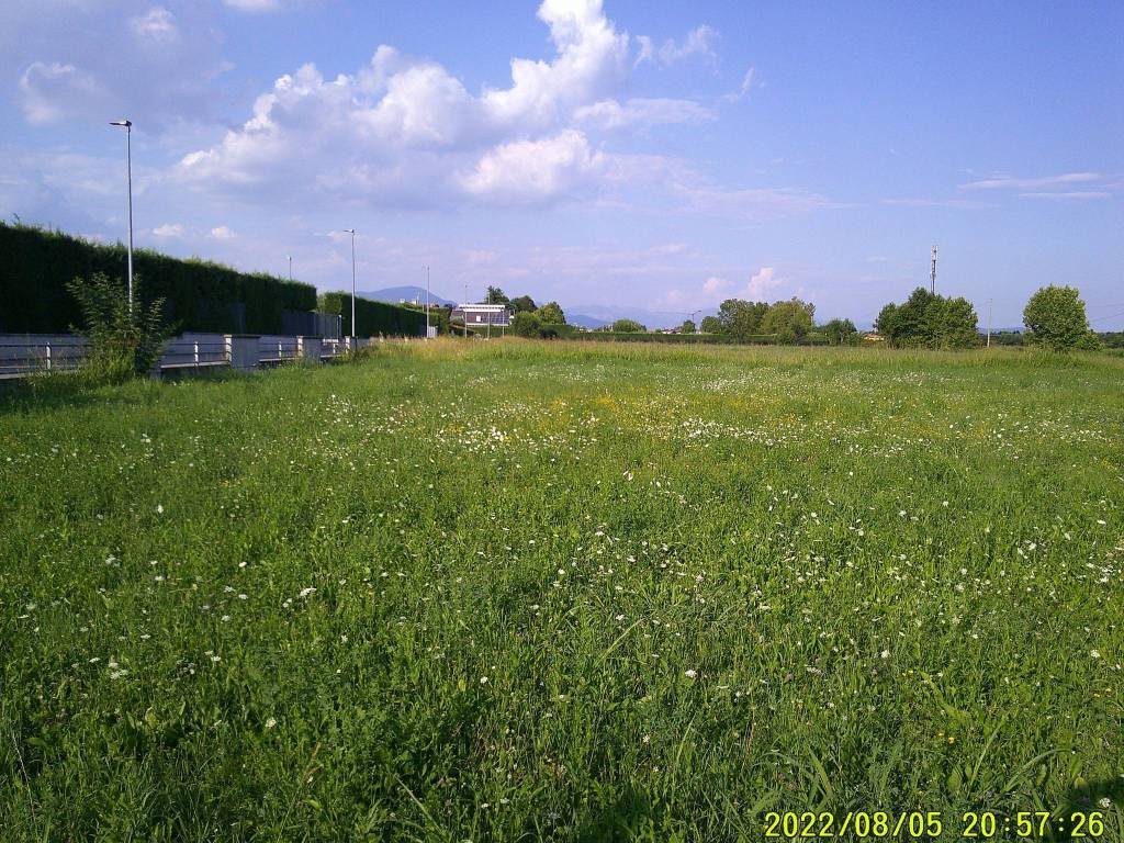 immagine annuncio 2 di 14