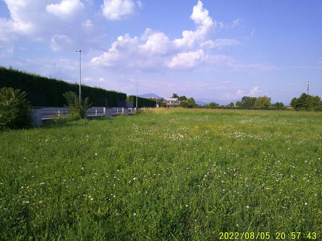 immagine annuncio 3 di 14