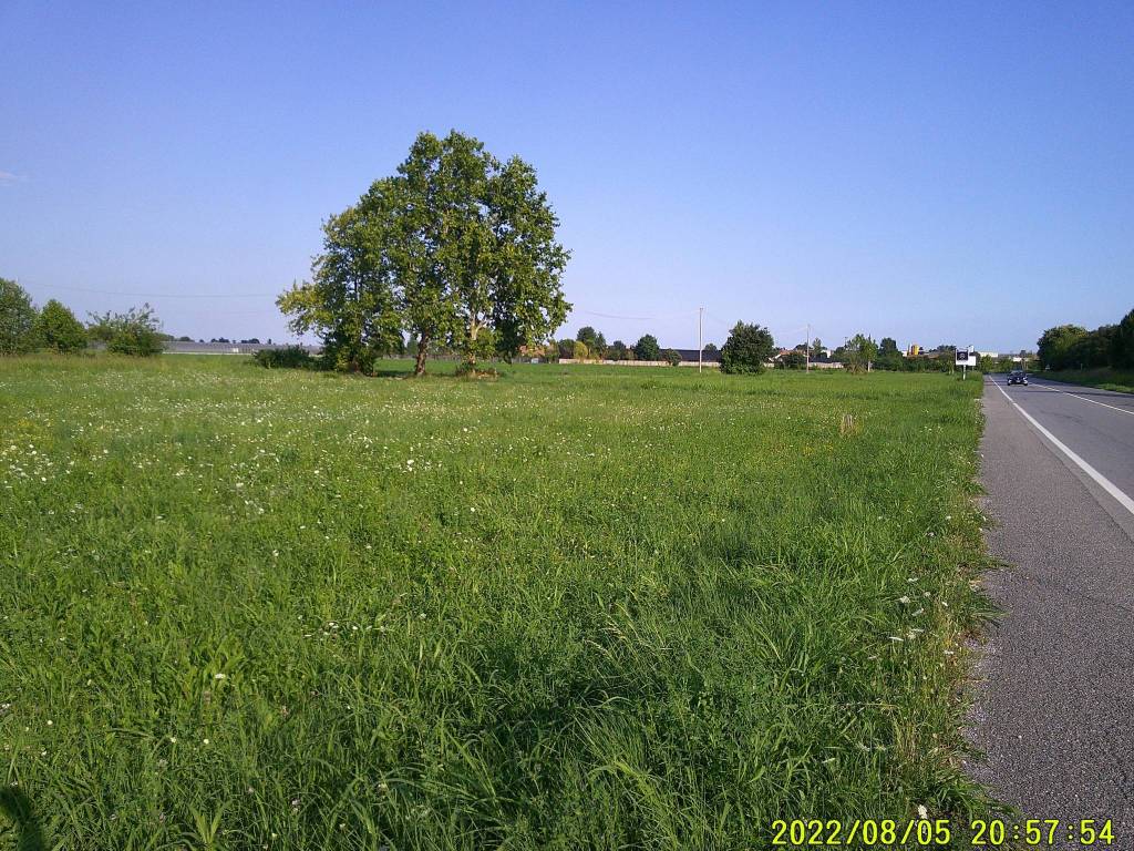 immagine annuncio 4 di 14